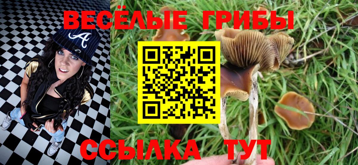 Псилоцибиновые грибы GOLDEN TEACHER  Вход с VPN  Киржач 
